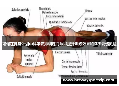如何在健身计划中科学安排训练间歇以提升训练效果和减少受伤风险