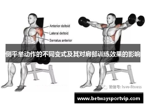 侧平举动作的不同变式及其对肩部训练效果的影响